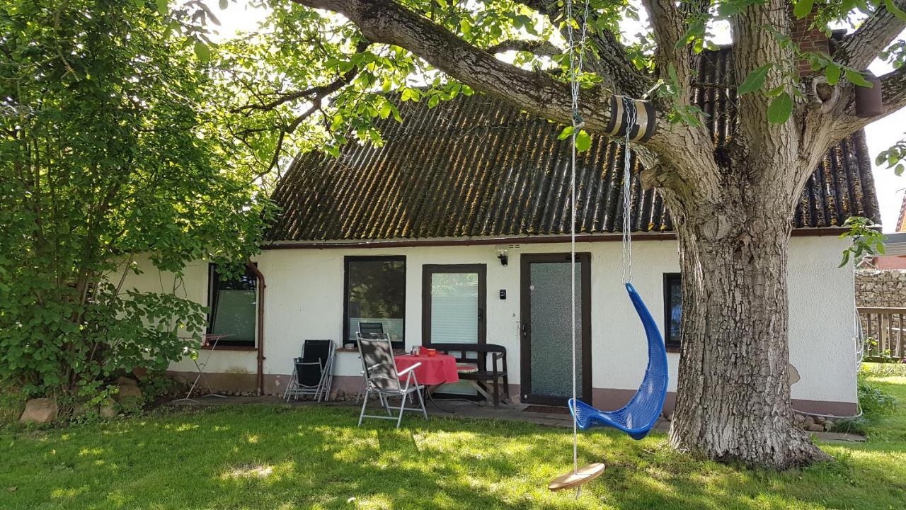 Ferienhaus Kunterbunt II Hitzacker Zewnętrze zdjęcie