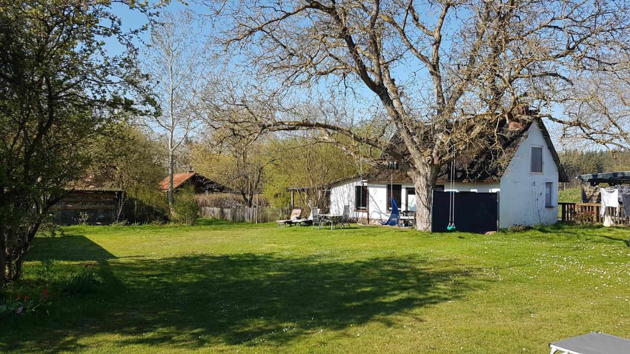 Ferienhaus Kunterbunt II Hitzacker Zewnętrze zdjęcie